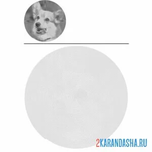 Раскраска корги