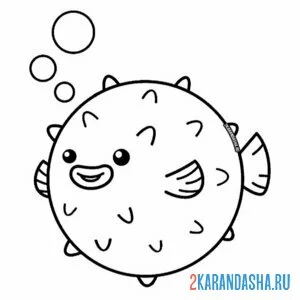 Раскраска рыба фугу