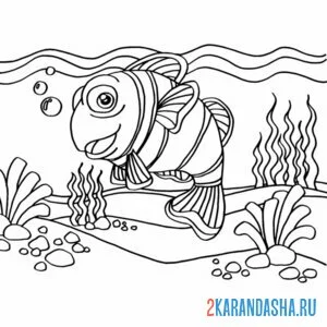 Раскраска клоун рыба в воде