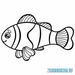 Раскраска рыба клоун