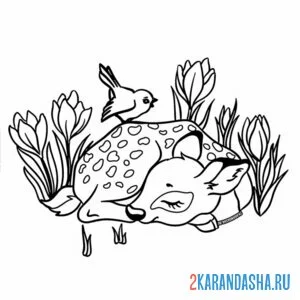 Раскраска олень спит