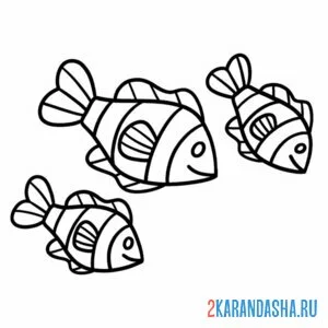 Раскраска косяк рыб