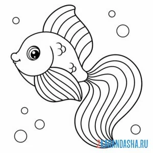 Раскраска рыба морская золотая