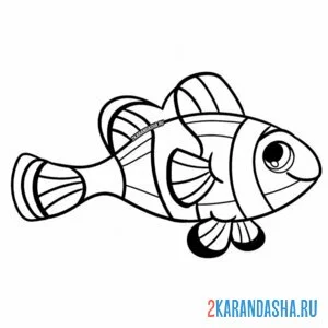 Раскраска морская рыба клоун