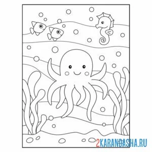 Раскраска осьминог и морской конек