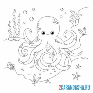 Раскраска осьминог на морском дне