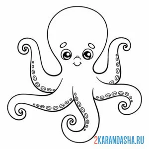 Раскраска морской осьминог