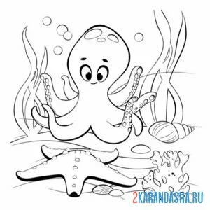 Раскраска осьминог и морская звезда