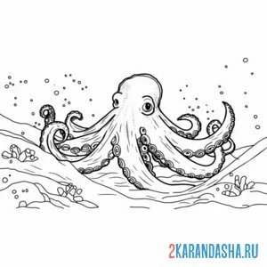 Раскраска осьминог фото