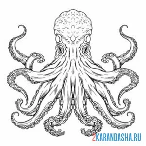 Раскраска осьминог живой и настоящий
