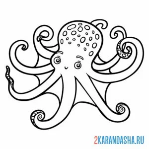 Раскраска осьминог большая голова