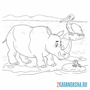 Раскраска носорог и цапля