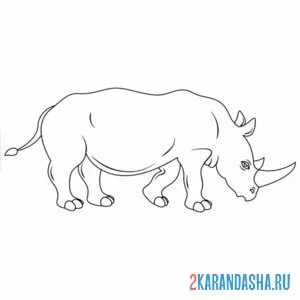 Раскраска носорог вид сбоку