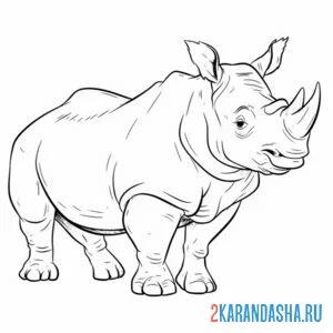 Раскраска носорог настоящий