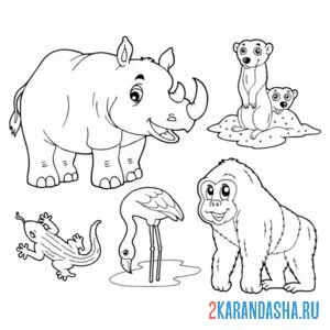 Раскраска носорог и другие животные