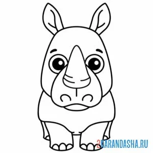 Раскраска носорог милашка