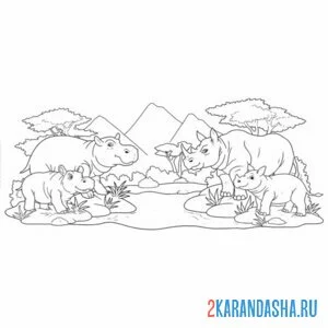 Раскраска носороги и бегемоты