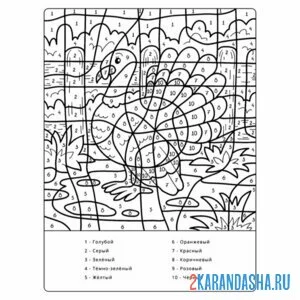 Раскраска по номерам: индюшка