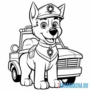 гонщик полицейская машина