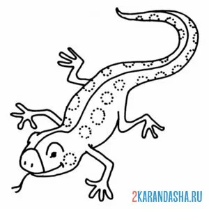Раскраска ящерица вынула язык