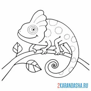 Раскраска хамелеон на веточке