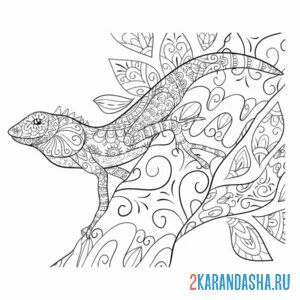 Раскраска антистресс ящерица