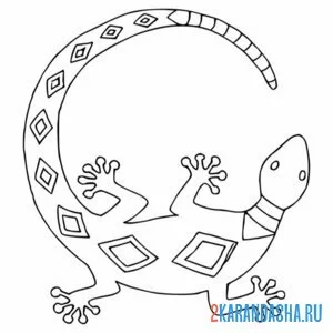 Раскраска ящерица в узорах
