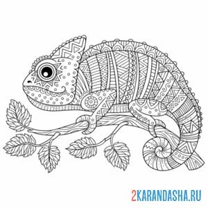 Раскраска хамелеон антистресс