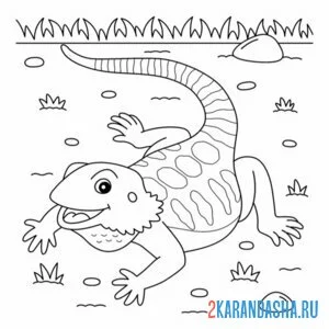 Раскраска игуана на природе
