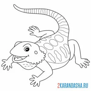 Раскраска игуана ящерица