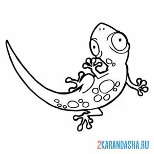 Раскраска малыш геккон