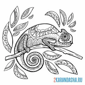 Раскраска малыш хамелеон на ветке