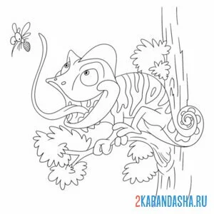 Раскраска хамелеон охотится