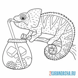 Раскраска хамелеон пьет коктейль