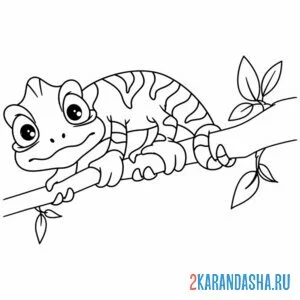Раскраска малыш хамелеон