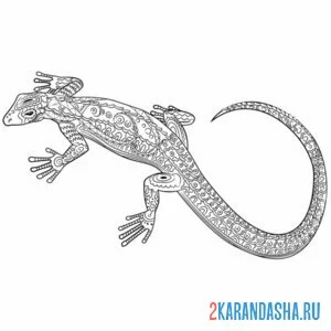 Раскраска настоящая ящерица арт
