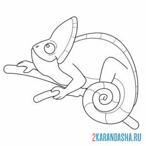 Раскраска хамелеон сидит и смотрит