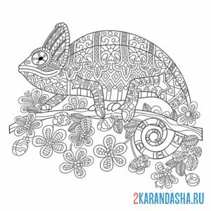 Раскраска антистресс хамелеон
