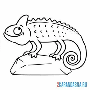 Раскраска хамелеон на камне