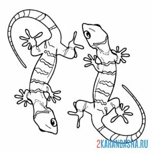 Раскраска две ящерицы