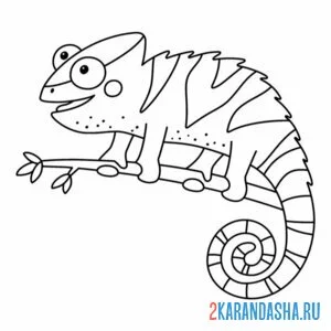Раскраска на ветке хамелеон
