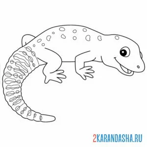 Раскраска ящерица с хвостом