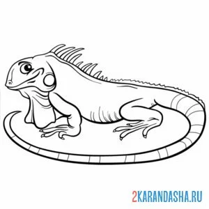 Раскраска игуана одна