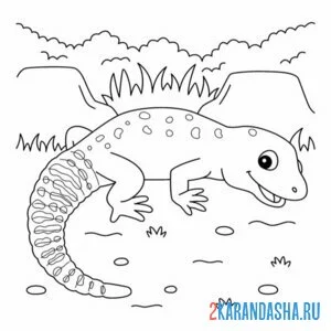 Раскраска ящерица ящерка
