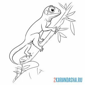 Раскраска ящерица большие глаза