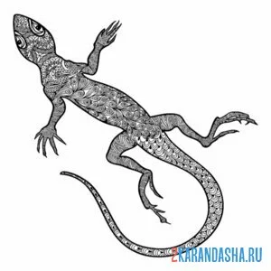 Раскраска ящерица арт антистресс