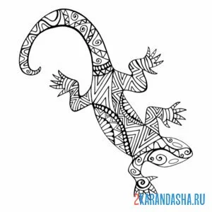 Раскраска антистресс узоры ящерица
