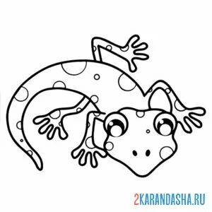 Раскраска глазастенькая ящерица