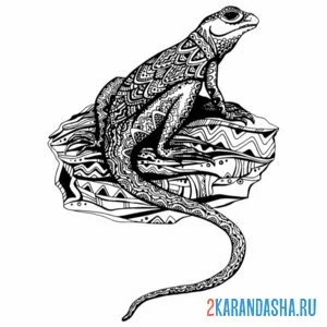 Раскраска узоры на ящерице