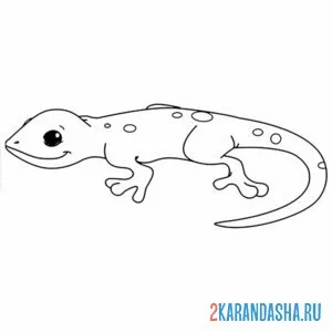 Раскраска ящерица простая